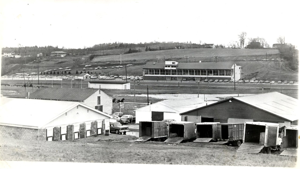 Sackville Downs